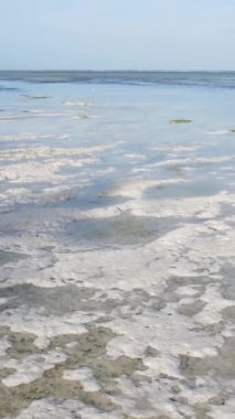 Tanzanya 'nın Zanzibar kıyısındaki okyanusta alçak gelgitin dikey videosu