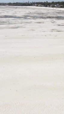 Tanzanya 'nın Zanzibar kıyısındaki okyanusta alçak gelgitin dikey videosu
