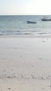 Tanzanya 'nın Zanzibar kıyısındaki okyanusta alçak gelgitin dikey videosu