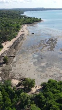 Tanzanya 'nın Zanzibar kıyısındaki okyanusta alçak gelgitin dikey videosu