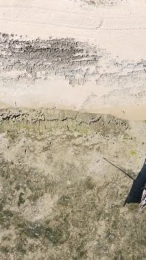 Tanzanya 'nın Zanzibar kıyısındaki okyanusta alçak gelgitin dikey videosu