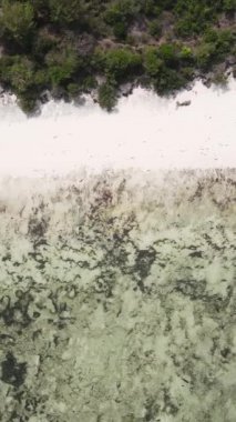 Tanzanya 'nın Zanzibar kıyısındaki okyanusta alçak gelgitin dikey videosu