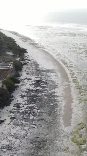 Vertical video of low tide in the ocean near the coast of Zanzibar, Tanzania — Stock Video