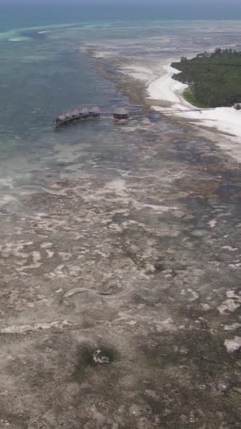 Verticale video van laagwater in de oceaan nabij de kust van Zanzibar, Tanzania — Stockvideo