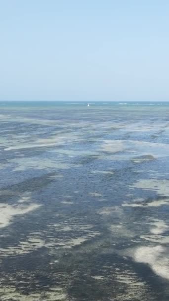 Вертикальное видео отлива в океане у берегов Занзибара, Танзания — стоковое видео
