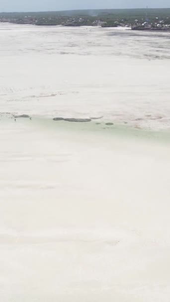 Video verticale della bassa marea nell'oceano vicino alla costa di Zanzibar, Tanzania — Video Stock