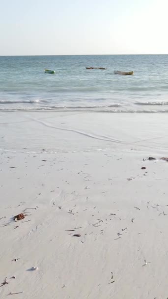 Video verticale della bassa marea nell'oceano vicino alla costa di Zanzibar, Tanzania — Video Stock