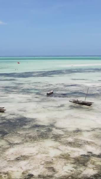 Verticale video van laagwater in de oceaan nabij de kust van Zanzibar, Tanzania — Stockvideo