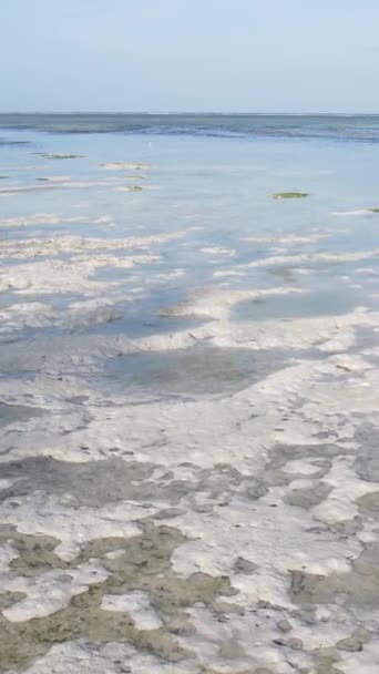 Vertikal video av lågvatten i havet nära kusten i Zanzibar, Tanzania — Stockvideo