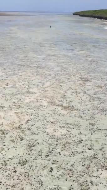 Video verticale della bassa marea nell'oceano vicino alla costa di Zanzibar, Tanzania — Video Stock