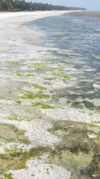 Vídeo vertical de la marea baja en el océano cerca de la costa de Zanzíbar, Tanzania — Vídeos de Stock