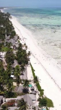 Tanzanya 'nın Zanzibar kıyısındaki okyanusta alçak gelgitin dikey videosu