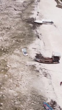 Tanzanya 'nın Zanzibar kıyısındaki okyanusta alçak gelgitin dikey videosu