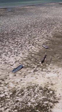 Tanzanya 'nın Zanzibar kıyısındaki okyanusta alçak gelgitin dikey videosu
