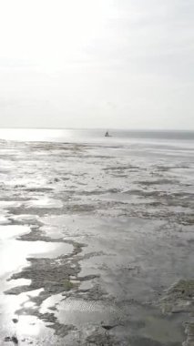 Tanzanya 'nın Zanzibar kıyısındaki okyanusta alçak gelgitin dikey videosu