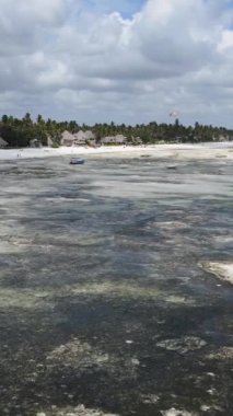Tanzanya 'nın Zanzibar kıyısındaki okyanusta alçak gelgitin dikey videosu