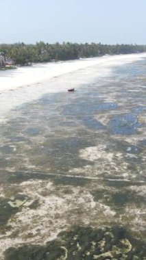 Tanzanya 'nın Zanzibar kıyısındaki okyanusta alçak gelgitin dikey videosu