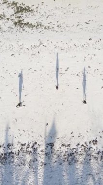 Dikey videocular Zanzibar, Tanzanya sahilinde futbol oynuyorlar