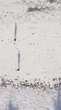 Dikey videocular Zanzibar, Tanzanya sahilinde futbol oynuyorlar