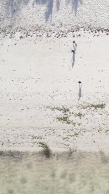 Dikey videocular Zanzibar, Tanzanya sahilinde futbol oynuyorlar