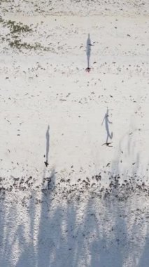 Dikey videocular Zanzibar, Tanzanya sahilinde futbol oynuyorlar