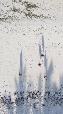 Dikey videocular Zanzibar, Tanzanya sahilinde futbol oynuyorlar