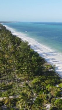Zanzibar, Tanzanya - okyanus kıyısı yeşil çalılıklarla kaplı, dikey video