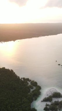 Zanzibar, Tanzanya - okyanus kıyısı yeşil çalılıklarla kaplı, dikey video