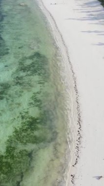 Tanzanya 'nın Zanzibar kıyısındaki okyanusta dikey video tekneleri