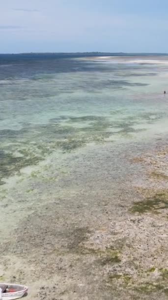 Vertical video of low tide in the ocean near the coast of Zanzibar, Tanzania — стокове відео