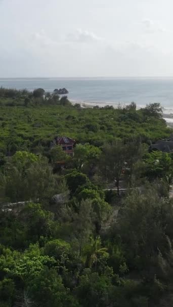 Zanzibar, Τανζανία - ωκεάνιες ακτές καλυμμένες με πράσινα στίγματα, κάθετο βίντεο — Αρχείο Βίντεο