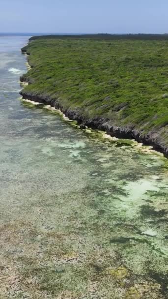 Занзібар, Танзанія - океанський берег покритий зеленими заростями, вертикальне відео — стокове відео