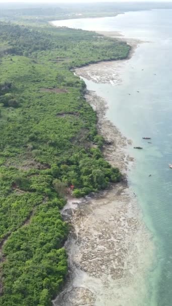 Zanzibar, Tanzanya - okyanus kıyısı yeşil çalılıklarla kaplı, dikey video — Stok video