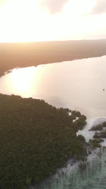 Zanzibar, Tanzania - havsstrand täckt med gröna snår, vertikal video — Stockvideo
