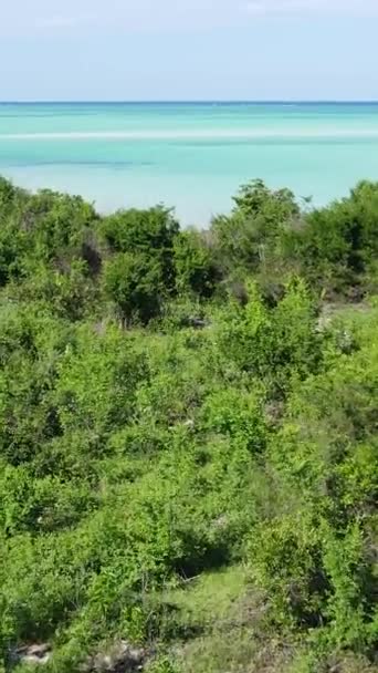 Zanzibar, Tanzanya - okyanus kıyısı yeşil çalılıklarla kaplı, dikey video — Stok video