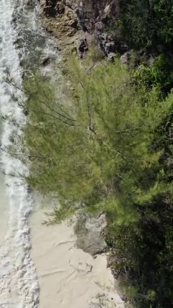 Zanzibar, Tanzania - havsstrand täckt med gröna snår, vertikal video — Stockvideo