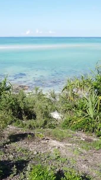 Zanzibar, Tanzania - oceaankust bedekt met groene struiken, verticale video — Stockvideo