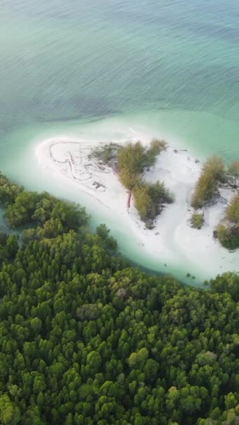 Zanzibar, Τανζανία - ωκεάνιες ακτές καλυμμένες με πράσινα στίγματα, κάθετο βίντεο — Αρχείο Βίντεο