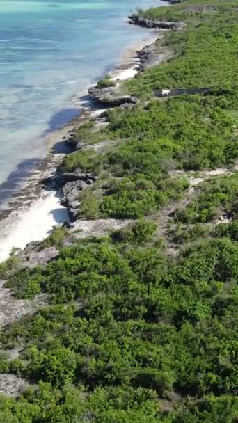 Zanzibar, Tanzanie - côte de l'océan couverte de broussailles vertes, vidéo verticale — Video