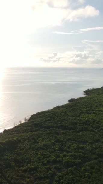 Zanzibar, Tanzanya - okyanus kıyısı yeşil çalılıklarla kaplı, dikey video — Stok video