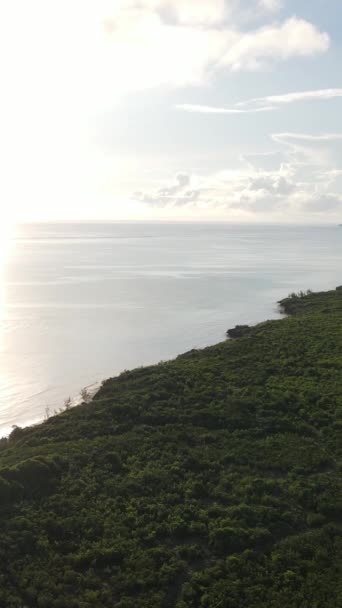 Zanzibar, Tanzanie - côte de l'océan couverte de broussailles vertes, vidéo verticale — Video