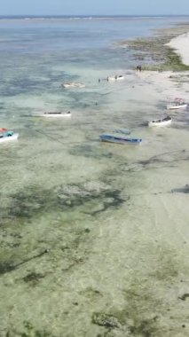 Tanzanya 'nın Zanzibar kıyısındaki okyanusta dikey video tekneleri