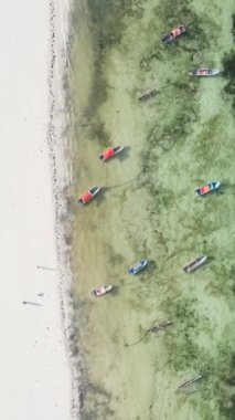Tanzanya 'nın Zanzibar kıyısındaki okyanusta dikey video tekneleri
