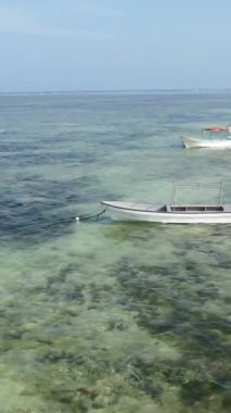Tanzanya 'nın Zanzibar kıyısındaki okyanusta dikey video tekneleri