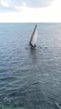 Tanzanya 'nın Zanzibar kıyısındaki okyanusta dikey video tekneleri