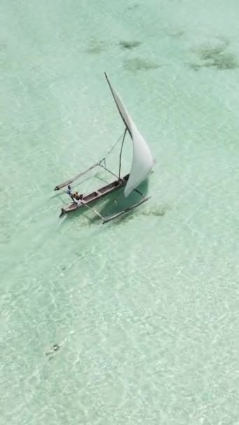 Bateaux vidéo verticaux dans l'océan près de la côte de Zanzibar, Tanzanie — Video