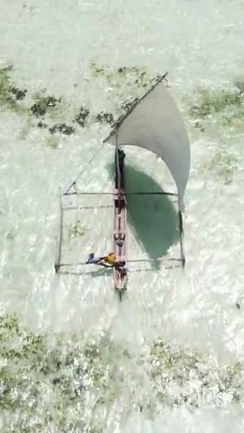 Függőleges videohajók az óceán partjainál Zanzibár, Tanzánia — Stock videók