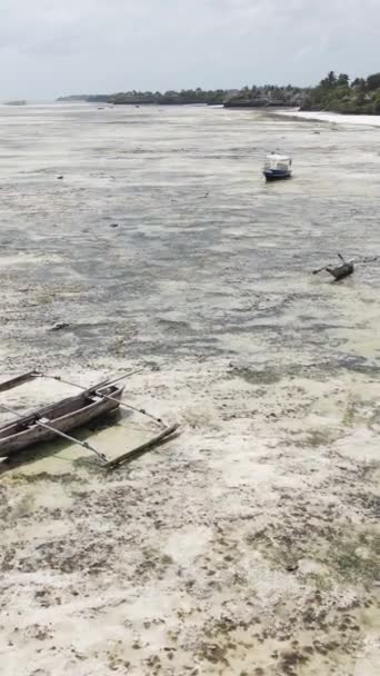 Video barcos verticales en el océano cerca de la costa de Zanzíbar, Tanzania — Vídeos de Stock