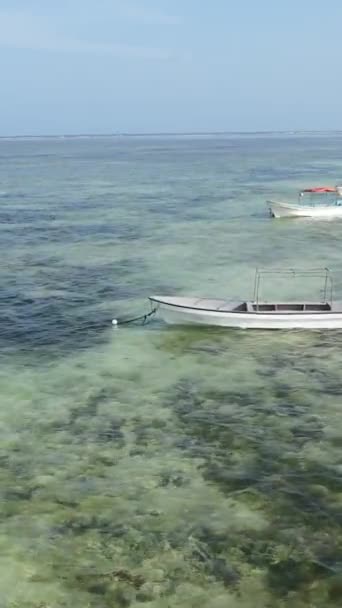 Vertikala videobåtar i havet nära kusten i Zanzibar, Tanzania — Stockvideo