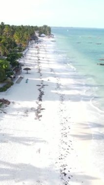 Tanzanya 'nın Zanzibar kıyısındaki okyanusta dikey video tekneleri